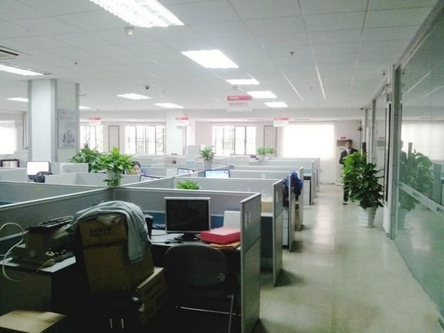 安徽网布打条平台