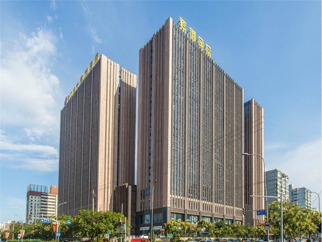 玉环市植物租摆哪家比较好